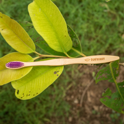 Set of 5 Multi-Color Bamboo Toothbrushes - Eco-Friendly